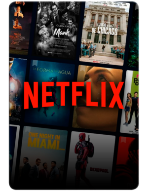 NETFLIX REPOSADAS