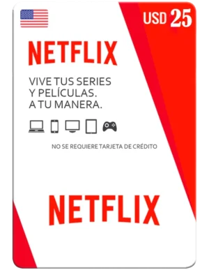 PIN Netflix 25 USD – USA