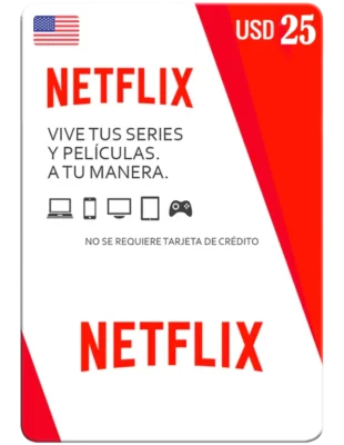 PIN Netflix 25 USD – USA