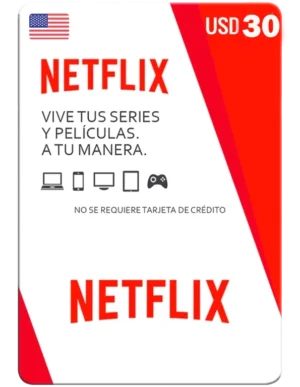 PIN Netflix 30 USD – USA