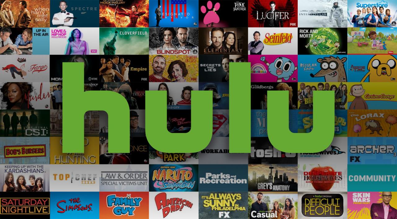 Hulu Gift Card $50 US